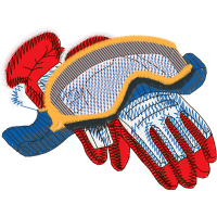 Coral Reef Fish Animals