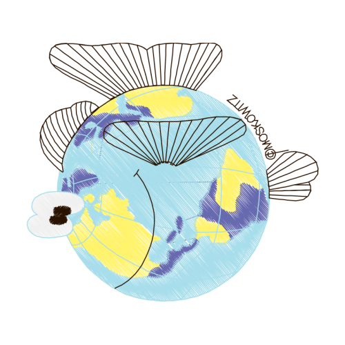 Coral Reef Fish Animals