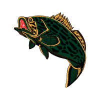 Coral Reef Fish Animals