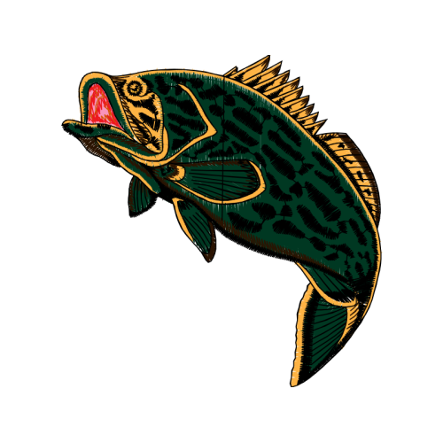 Coral Reef Fish Animals