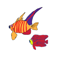 Coral Reef Fish Animals