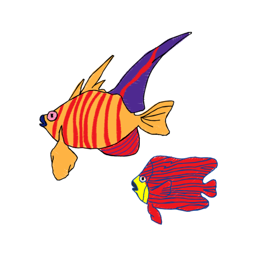 Coral Reef Fish Animals