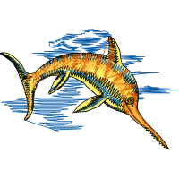 Coral Reef Fish Animals