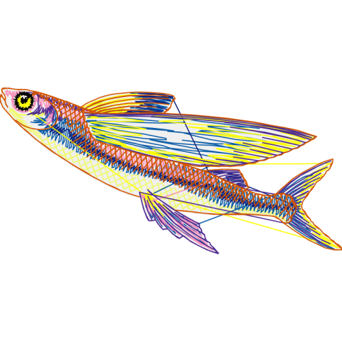 Coral Reef Fish Animals