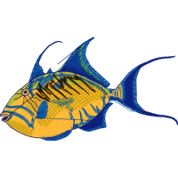 Coral Reef Fish Animals