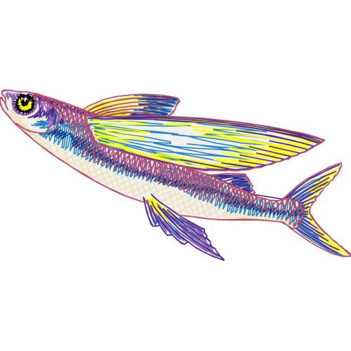 Coral Reef Fish Animals