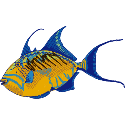Coral Reef Fish Animals