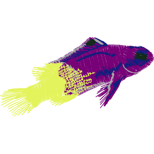 Coral Reef Fish Animals