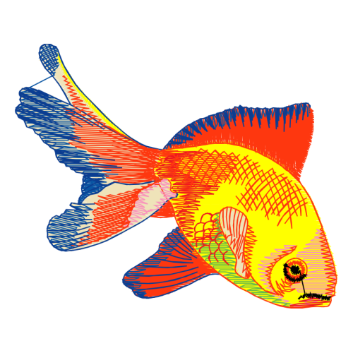 Coral Reef Fish Animals