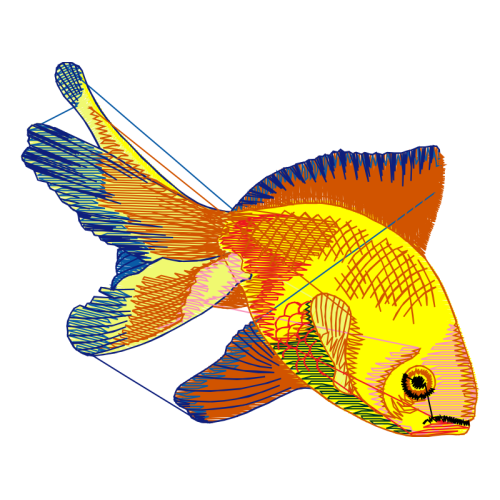 Coral Reef Fish Animals