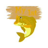 Coral Reef Fish Animals