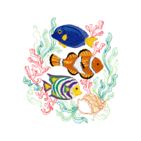Coral Reef Fish Animals