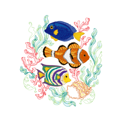 Coral Reef Fish Animals