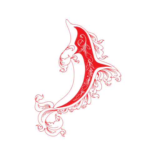 Drawing Animals Drawing Animals