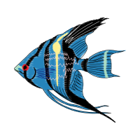 Drawing Animals Drawing Animals