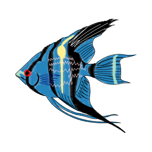 Drawing Animals Drawing Animals