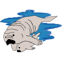 Drawing Animals Drawing Animals