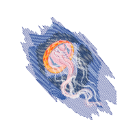 Drawing Animals Drawing Animals