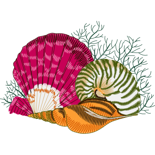 Drawing Animals Drawing Animals