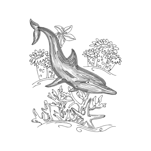 Drawing Animals Drawing Animals