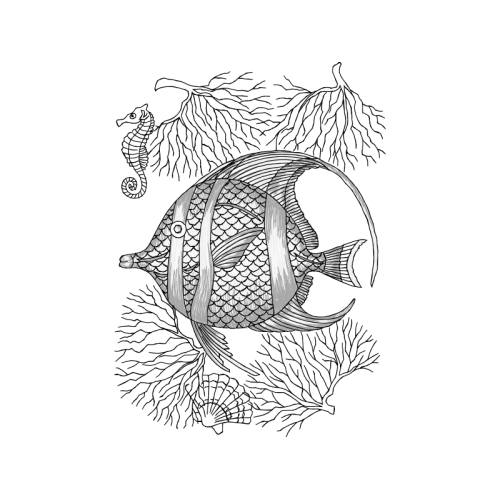 Drawing Animals Drawing Animals