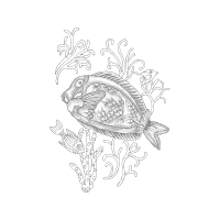 Drawing Animals Drawing Animals