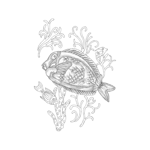 Drawing Animals Drawing Animals