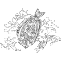 Drawing Animals Drawing Animals