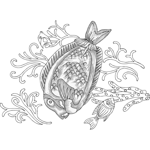 Drawing Animals Drawing Animals