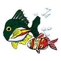 Drawing Animals Drawing Animals