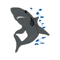 Drawing Animals Drawing Animals