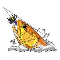 Drawing Animals Drawing Animals