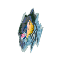 Drawing Animals Drawing Animals