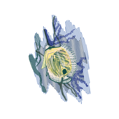 Drawing Animals Drawing Animals