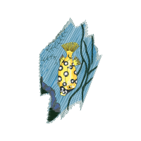 Drawing Animals Drawing Animals