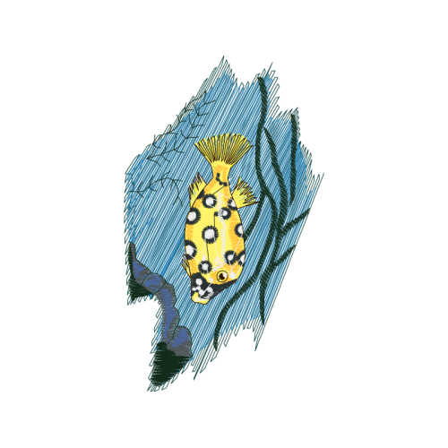 Drawing Animals Drawing Animals