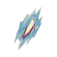 Drawing Animals Drawing Animals