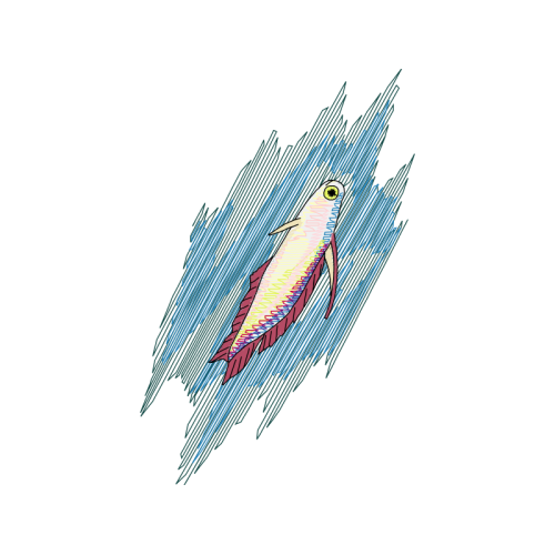 Drawing Animals Drawing Animals