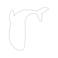 Drawing Animals Drawing Animals