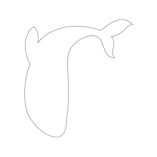 Drawing Animals Drawing Animals