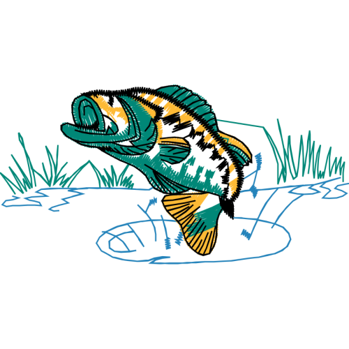 Drawing Animals Drawing Animals