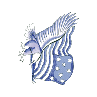 Drawing Animals Drawing Animals