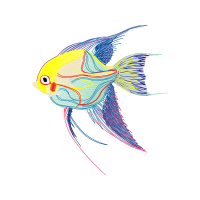 Drawing Animals Drawing Animals