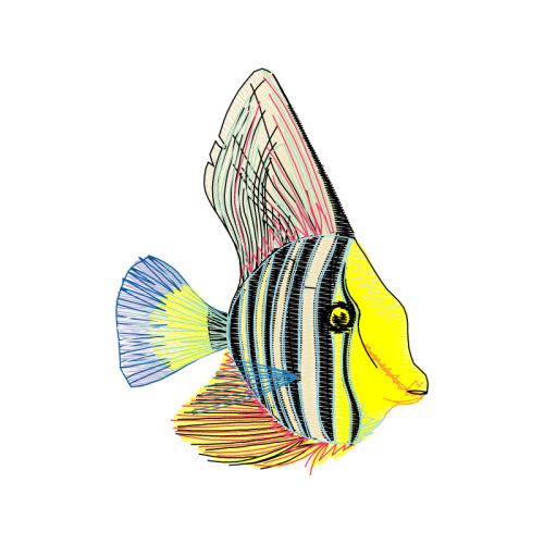 Drawing Animals Drawing Animals