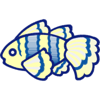 Drawing Animals Drawing Animals