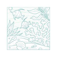 Drawing Animals Drawing Animals