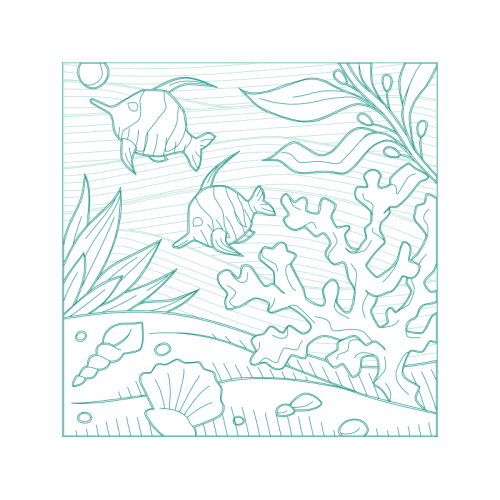 Drawing Animals Drawing Animals