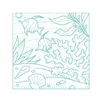 Drawing Animals Drawing Animals