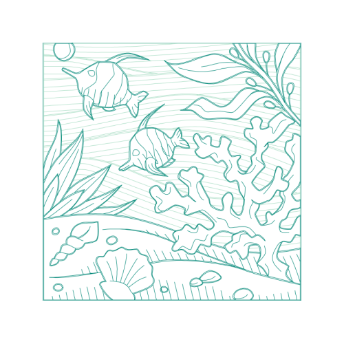 Drawing Animals Drawing Animals