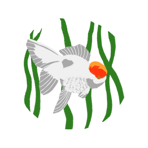 Drawing Animals Drawing Animals